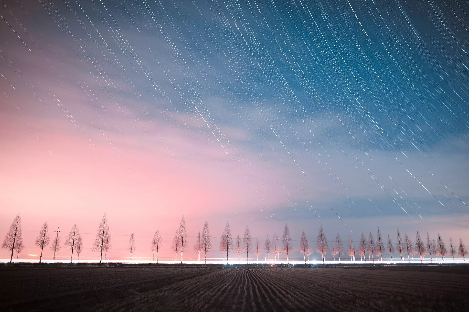 The night sky turning above a tree-lined road