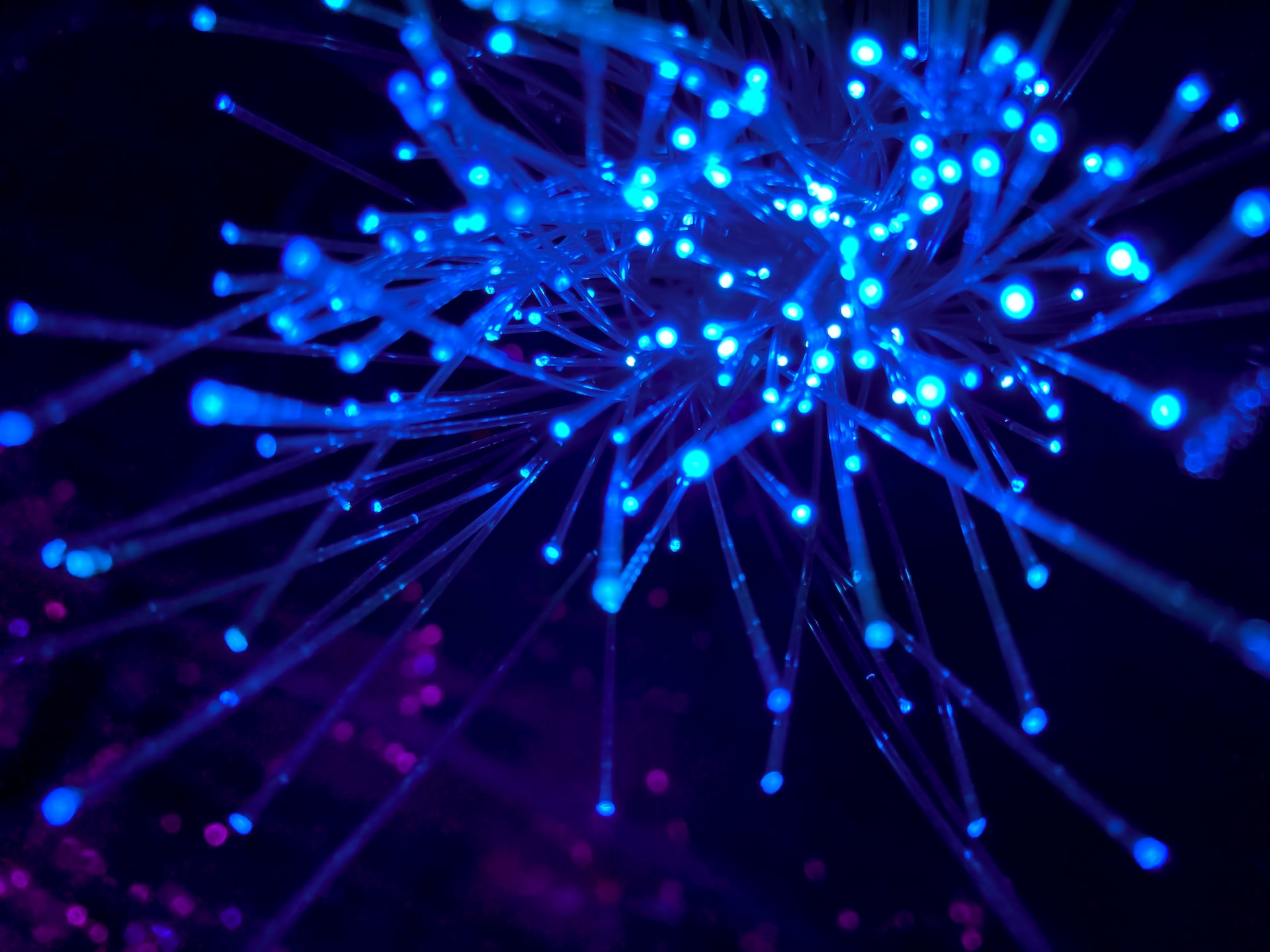 Agile and Digital Transformation: The Emperor’s New Clothes?