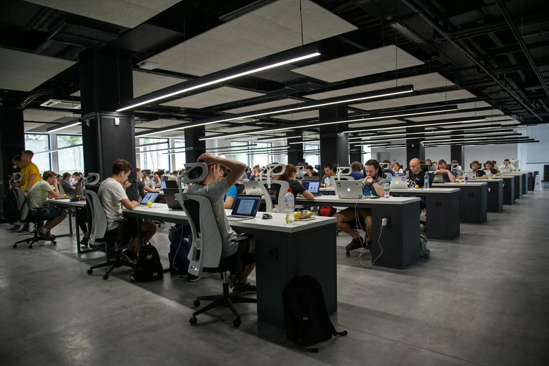 Workers in a minimalist office space